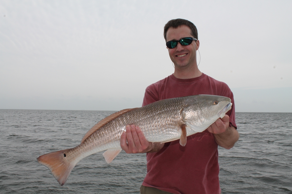 Top Spots Around Tampa Bay for Catching Redfish During Summer