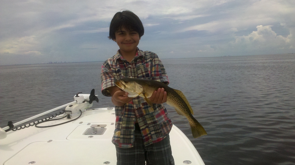 Can Beginner Anglers Enjoy a Tarpon Fishing Trip in Tampa Bay?