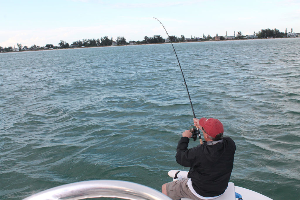 The Best Tampa Bay Inshore Fishing Charter Options