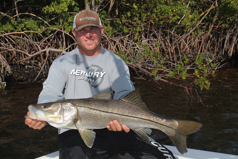 How to Choose the Right Snook Guide in Tampa Bay