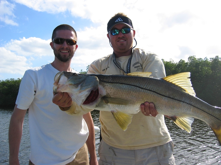 Can You Catch Snook Year-Round in Tampa Bay?