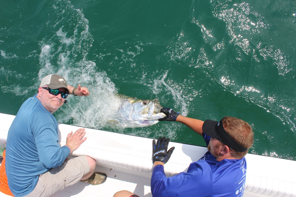 Making Tarpon Fishing in Tampa Bay Less Frustrating