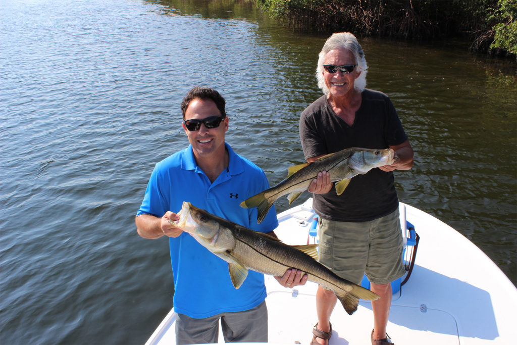 What Fish Are Biting in Tampa Bay?