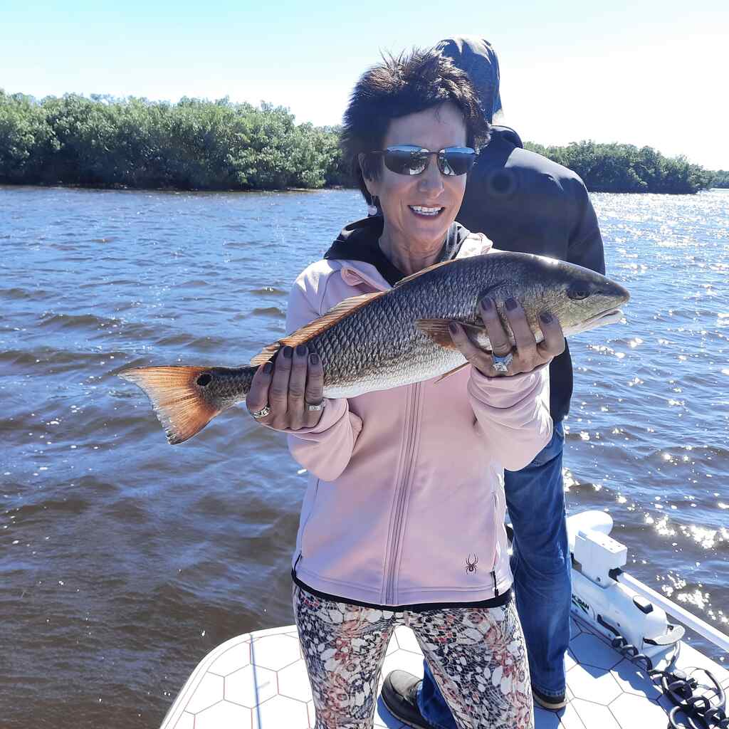 Fish species biting in Tampa Bay including redfish, snook, trout, tarpon, sheepshead, and mackerel