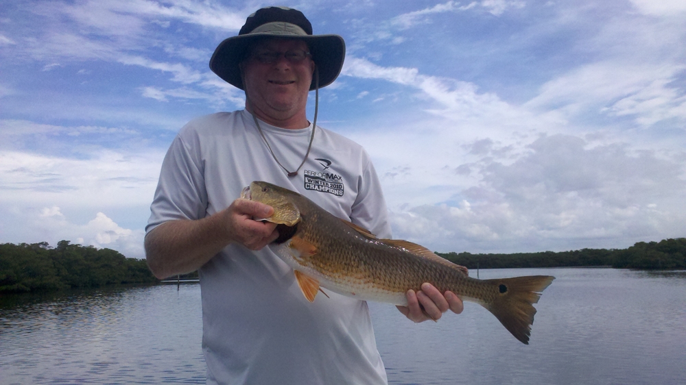 Fishing in Tampa Bay during morning and afternoon for best results