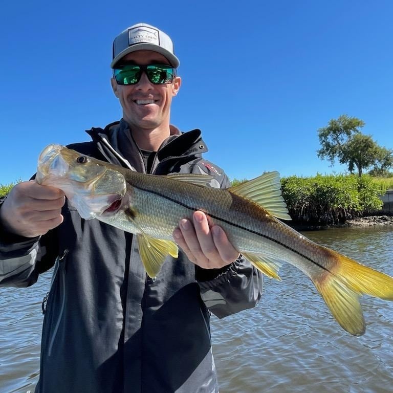 How to Hook Big Snook Around the Mangroves in Tampa Bay
