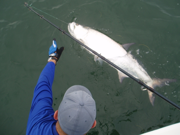 Why Is Tarpon Fishing in Tampa Bay So Challenging?