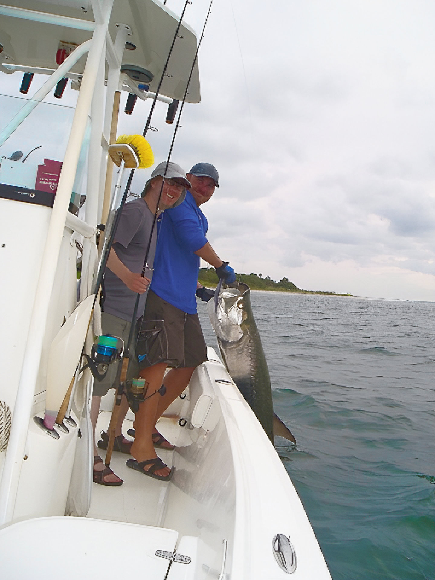 Why Tarpon Season in Tampa Bay Draws So Many Anglers